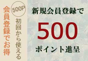会員登録でポイント進呈
